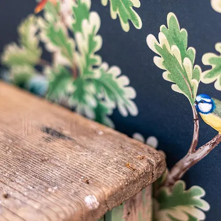 فندق مبيت وإفطار Lu Cuccuviu